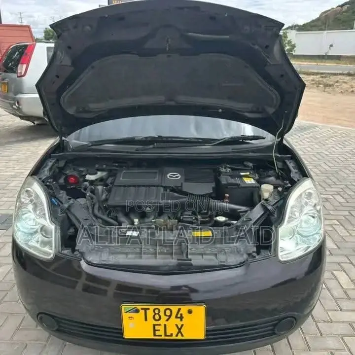 Mazda Verisa 2010 Brown