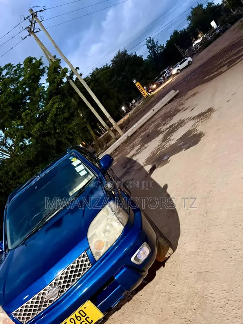 Nissan X-Trail 2004 Blue