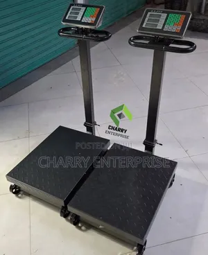 Mizani Commercial Digital Electronic Platform Scale Heavy Goods 600kg