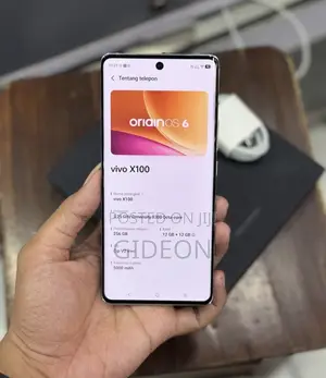Vivo X100 512 GB Blue