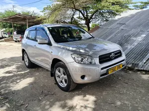 Toyota RAV4 2009 Silver