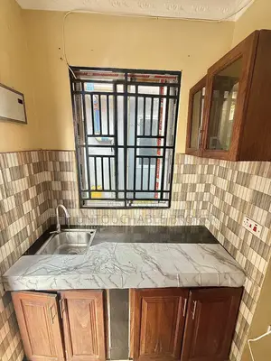 1bdrm Apartment in Sinza Vatcan for rent