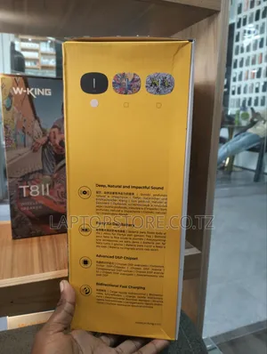 W King T8ii Wireless Speaker