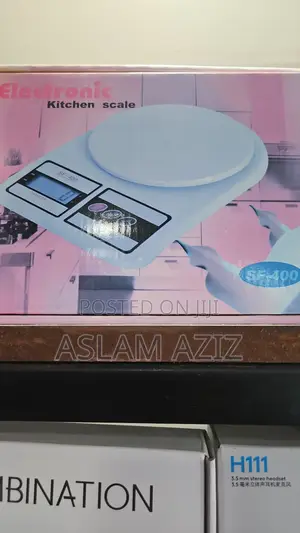 Electronic Scale