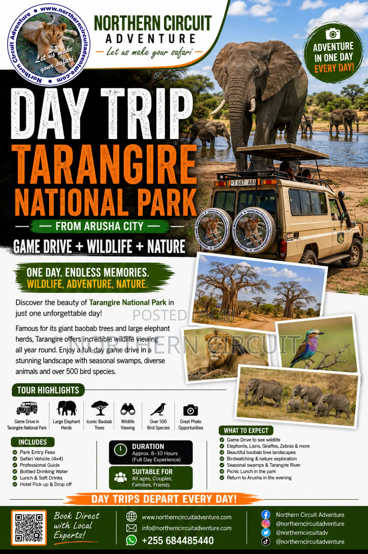Day Trip to Tarangire National Park