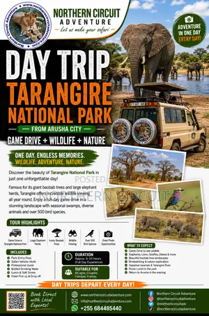 Day Trip to Tarangire National Park