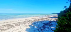Beach Plot for Sale at Makunduchi Zanzibar