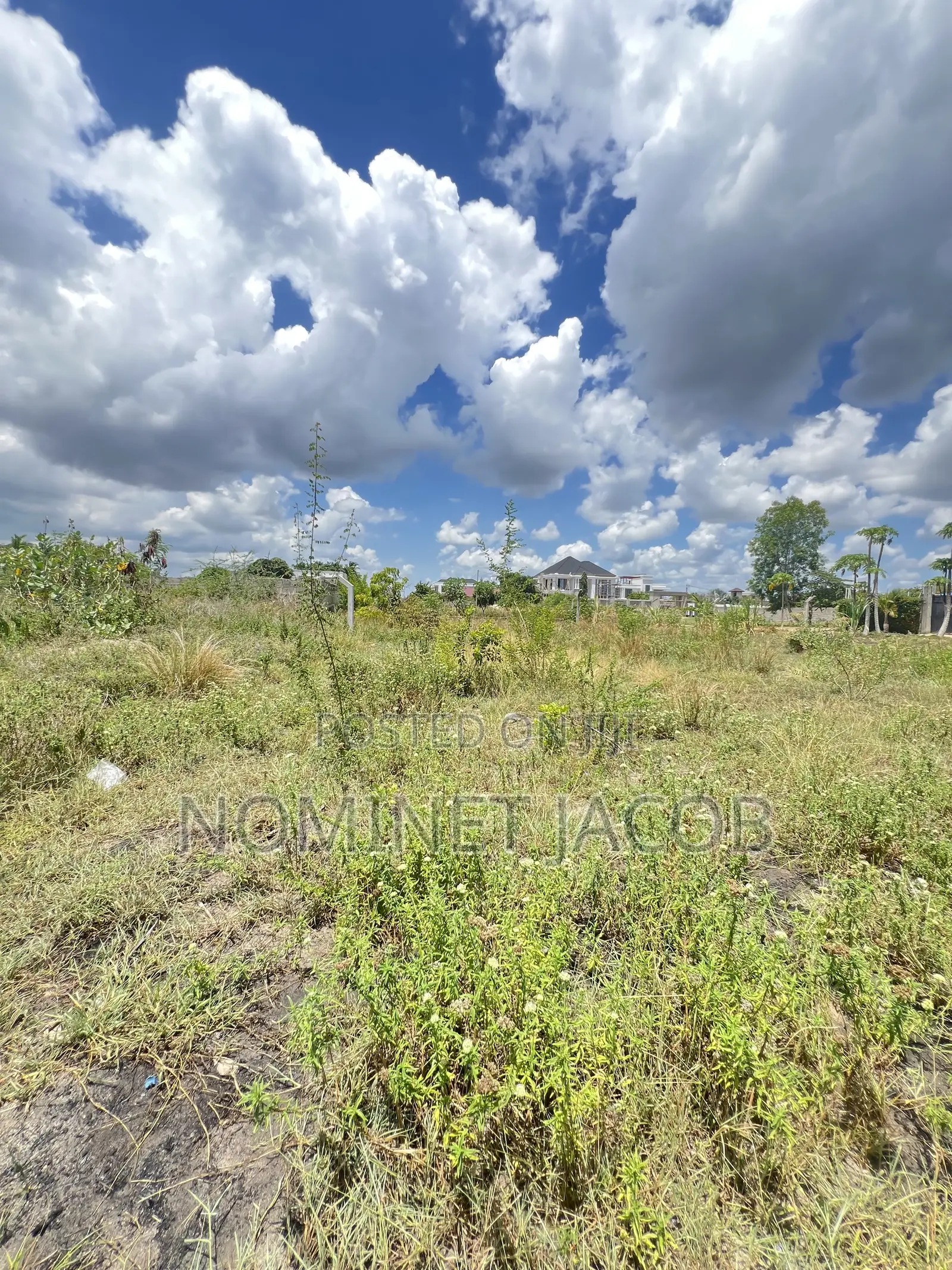 Plot for Sale