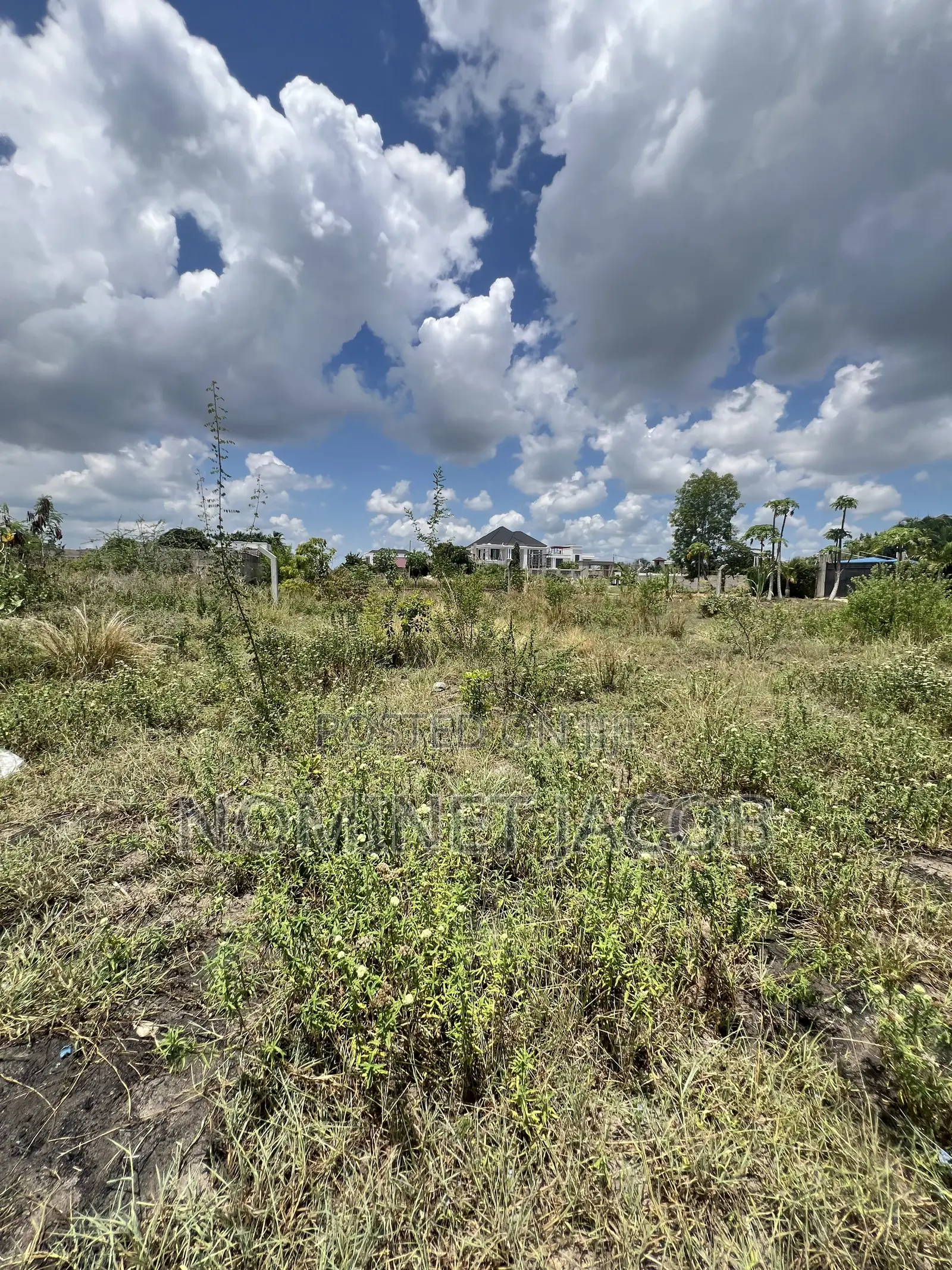 Plot for Sale