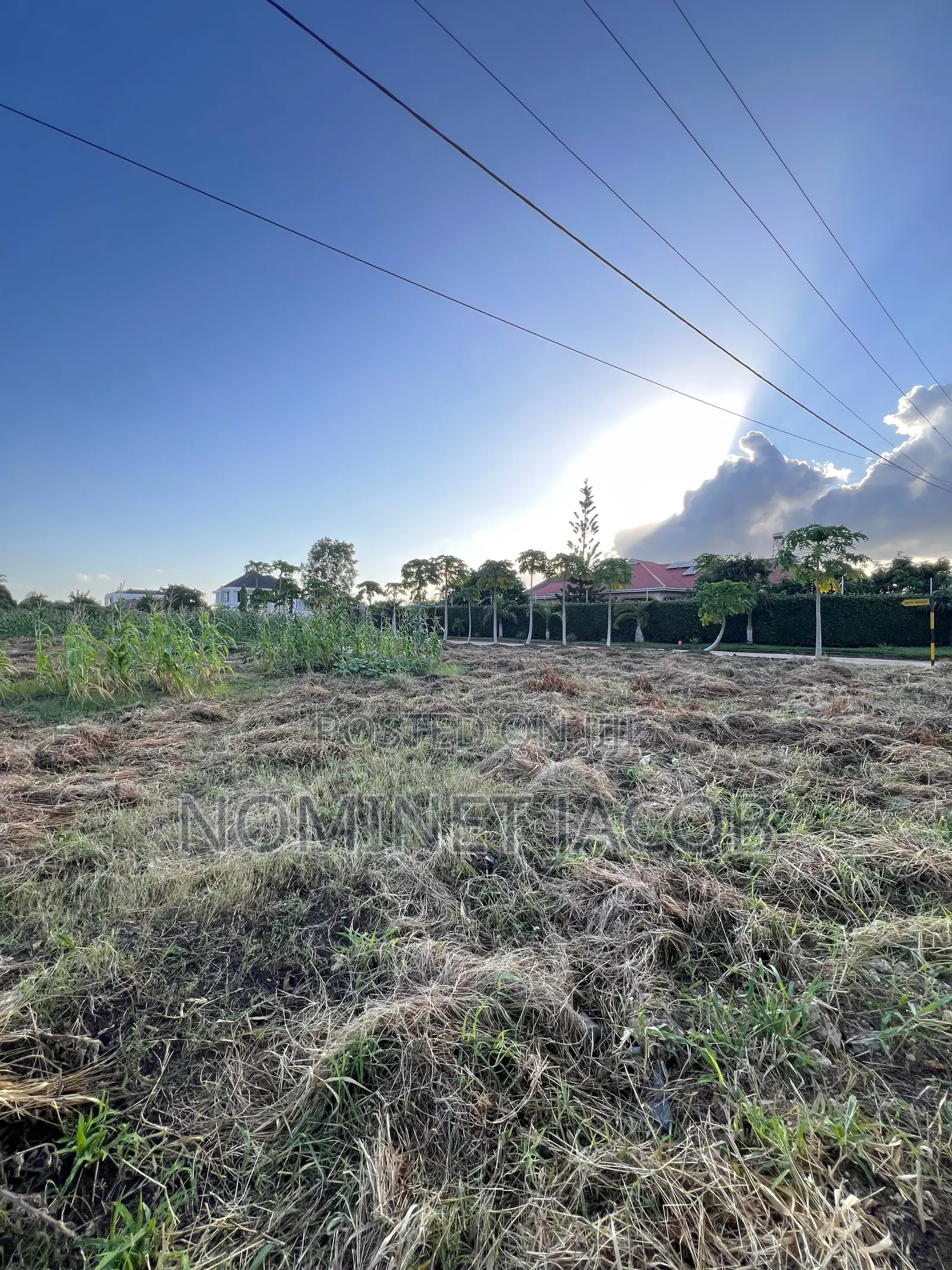 Plot for Sale