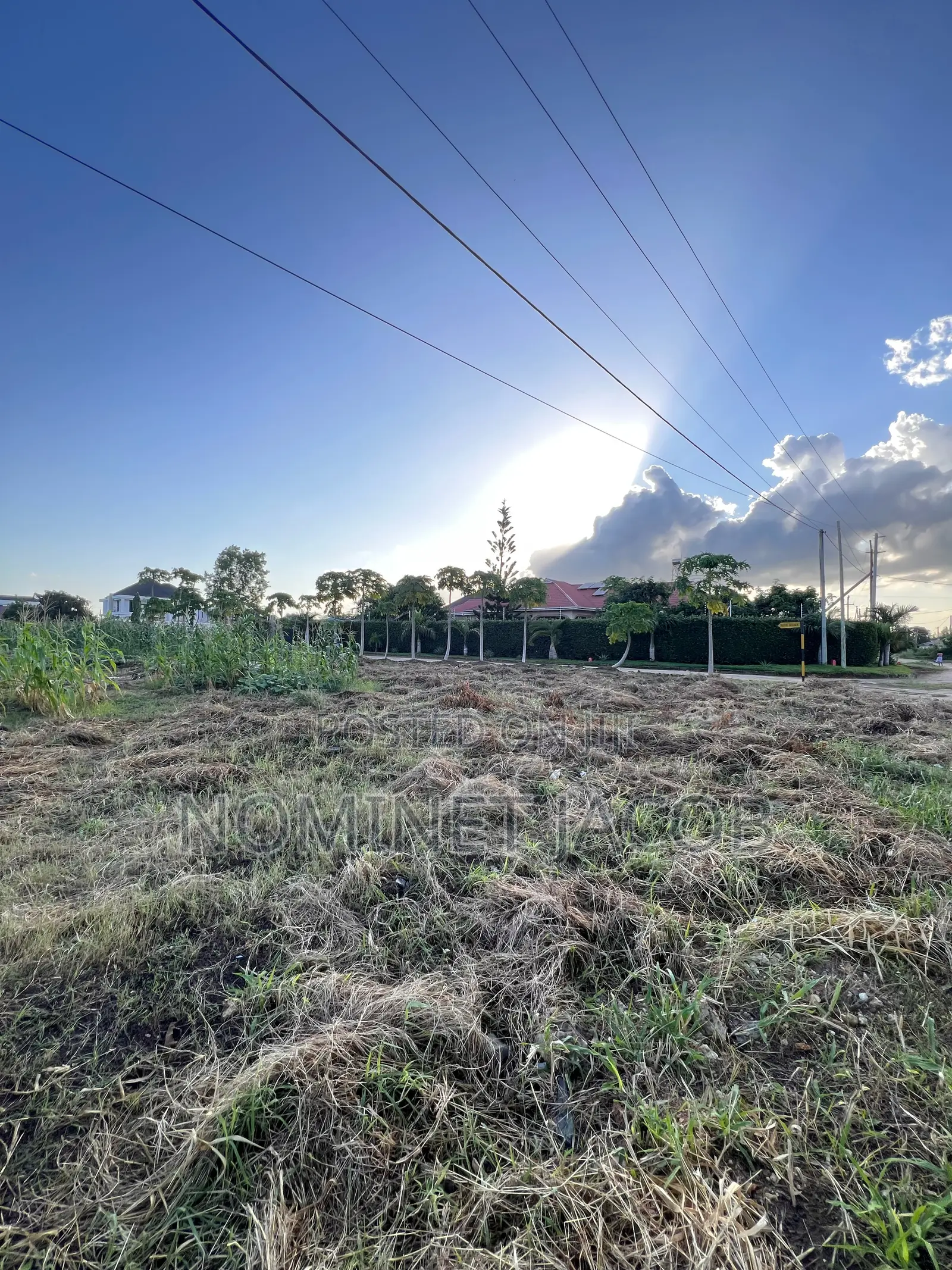 Plot for Sale