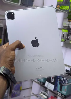 New Apple iPad Pro 256 GB Silver