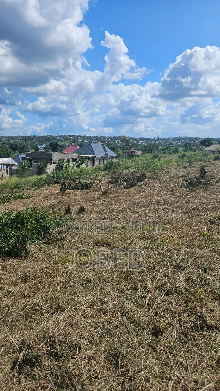 Tunauza Na Kukopesha Viwanja Kibaha Kwa Matiasi Na Boko Mnemela