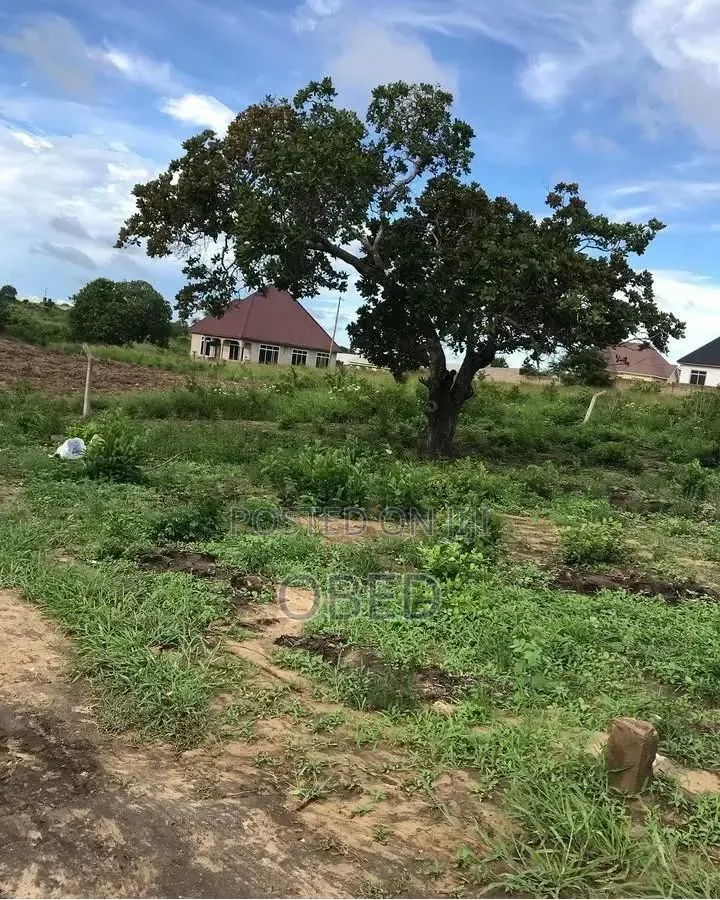 Tunauza Na Kukopesha Viwanja Kibaha Kwa Matiasi Na Boko Mnemela