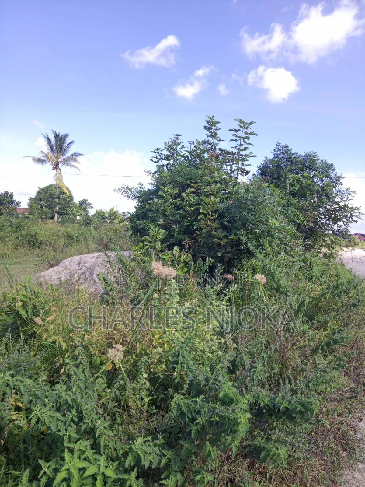 Land for Sale