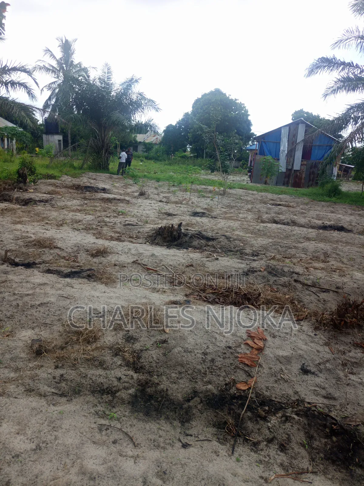 Land for Sale