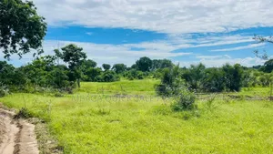 Big Plot With 10 Acres for Sale Facing Bagamoyo Rd Kerege
