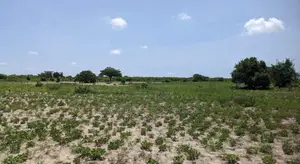 Shamba Linauzwa Mkoa Wa Pwani - Kisarawe (Gwata)