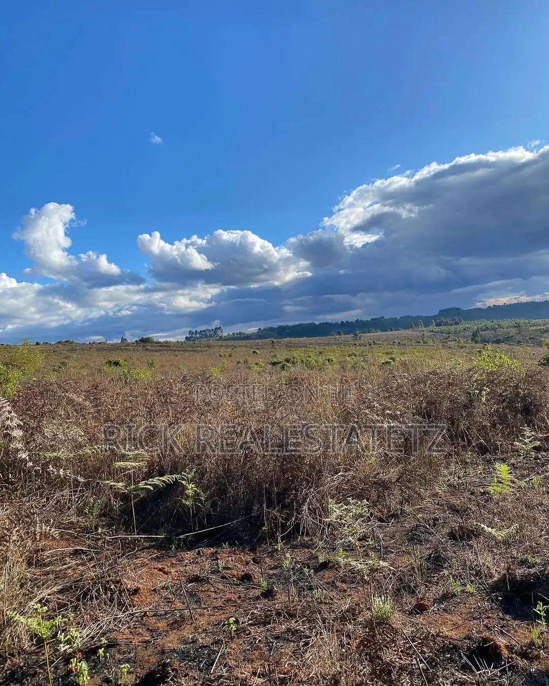 Shamba Linauzwa Mkoa Wa Pwani - Kisarawe (Gwata)