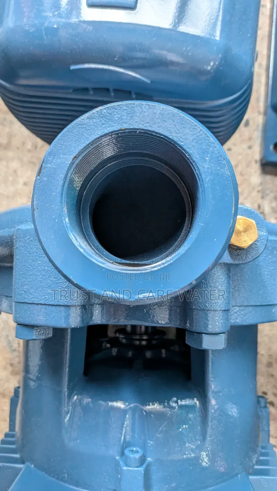 Pedrollo Surface Pump 15hp (2inch×1inch) Cp 250a