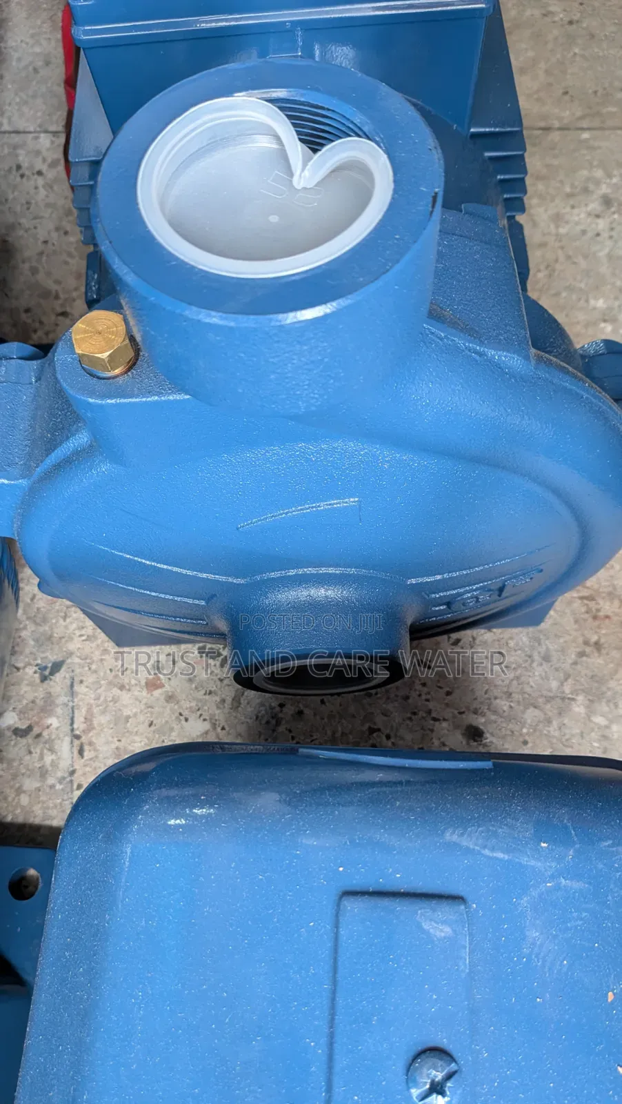 Pedrollo Surface Pump 15hp (2inch×1inch) Cp 250a