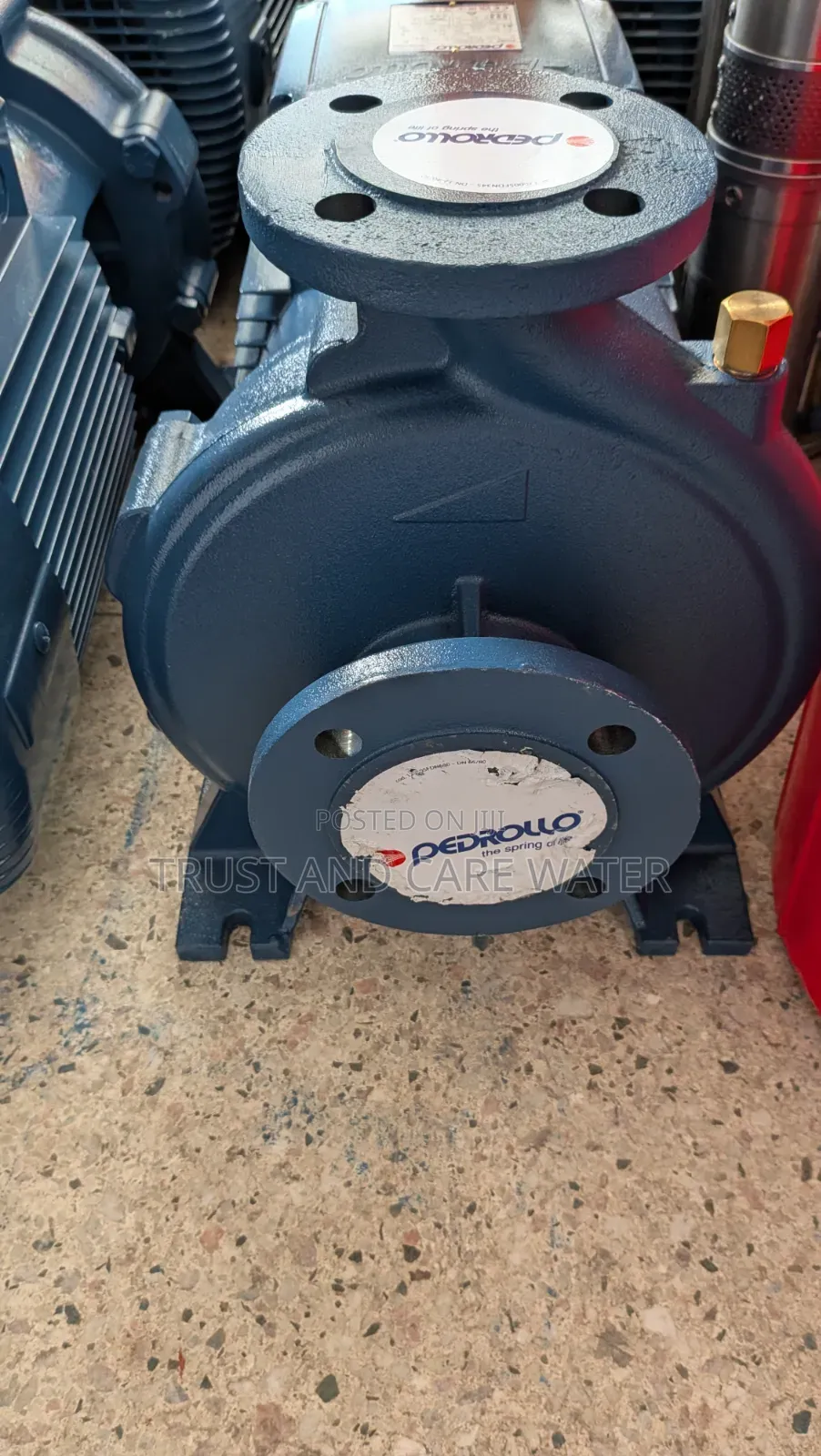 Pedrollo Surface Pump 12.5hp (1inch×2inch) F40/250c