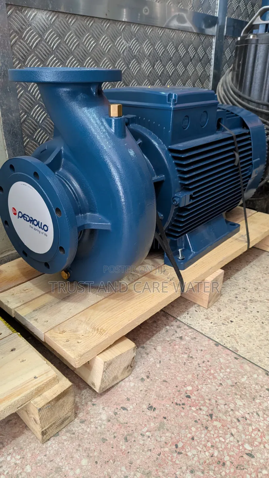 Pedrollo Surface Pump 50hp (3inch×3inch)F100/200b