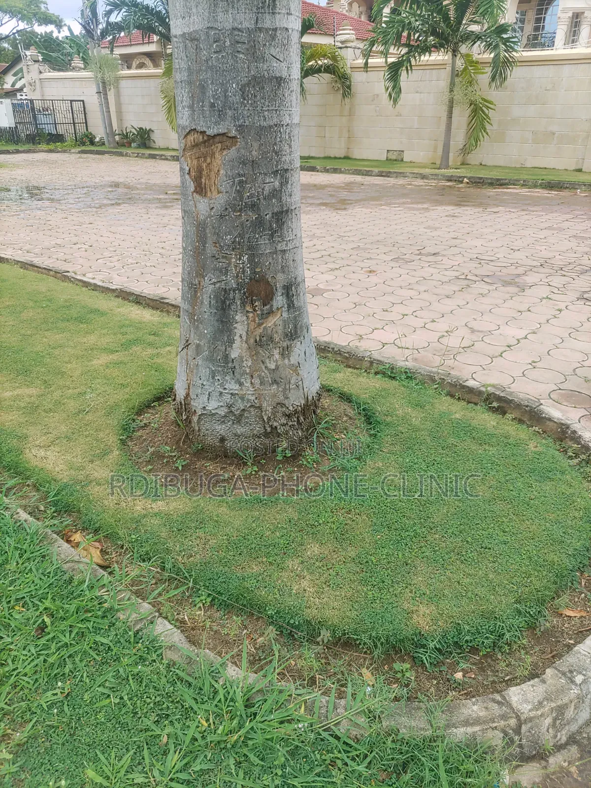 Garden Design