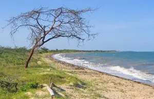 Beach Plot Facing Zanzibar Island For Sale At Saadani National Park