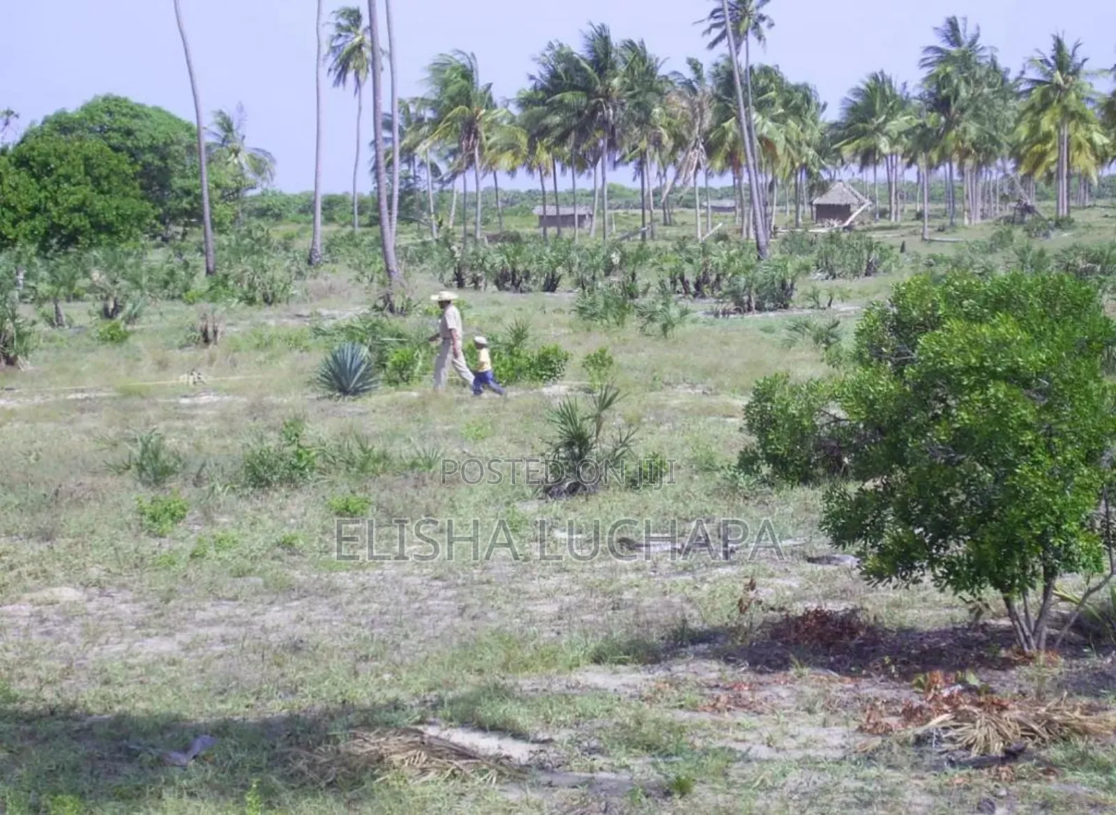 Beach Plot Facing Zanzibar Island For Sale At Saadani National Park
