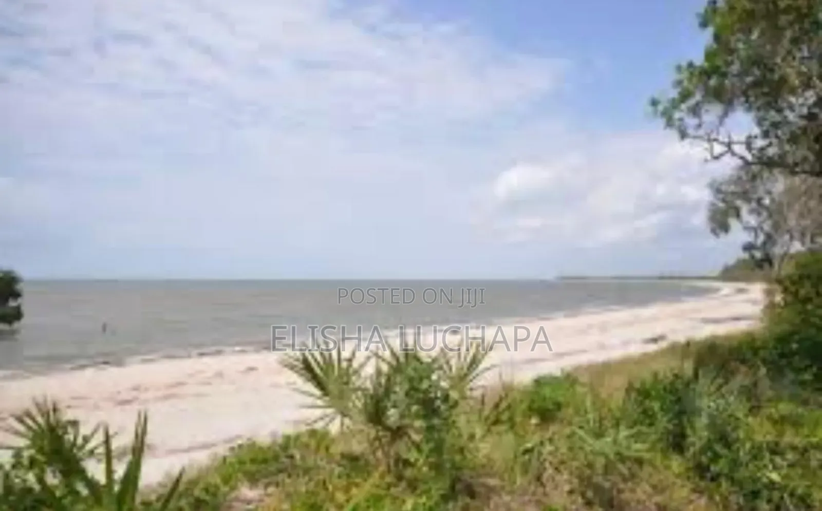 Beach Plot Facing Zanzibar Island For Sale At Saadani National Park
