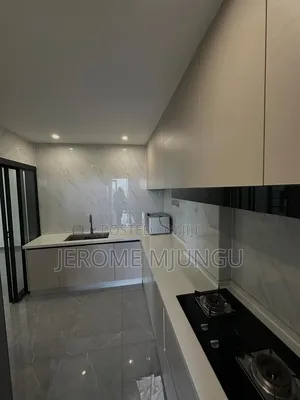 Furnished 3bdrm Apartment in Masaki for rent