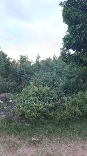 Plot for Sale