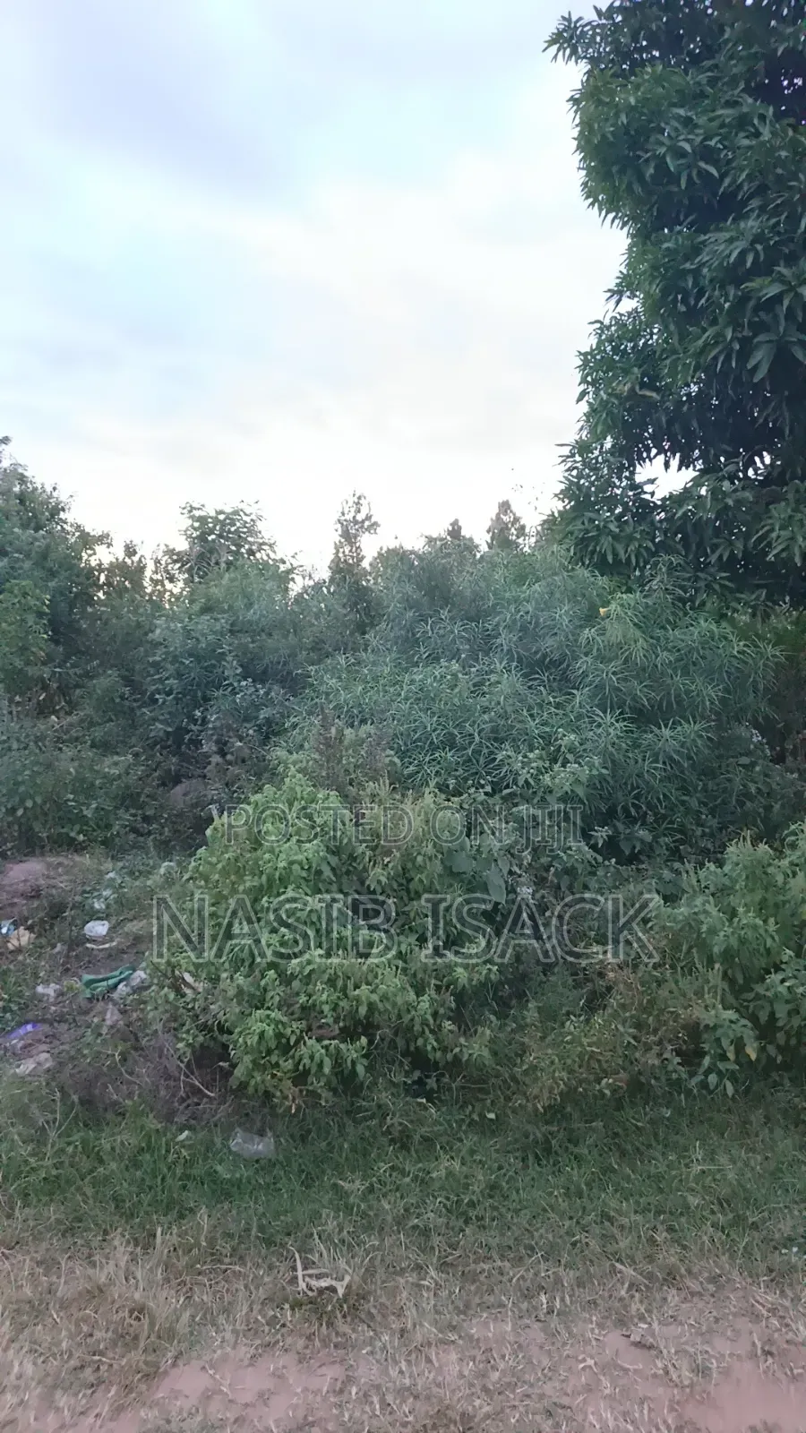 Plot for Sale