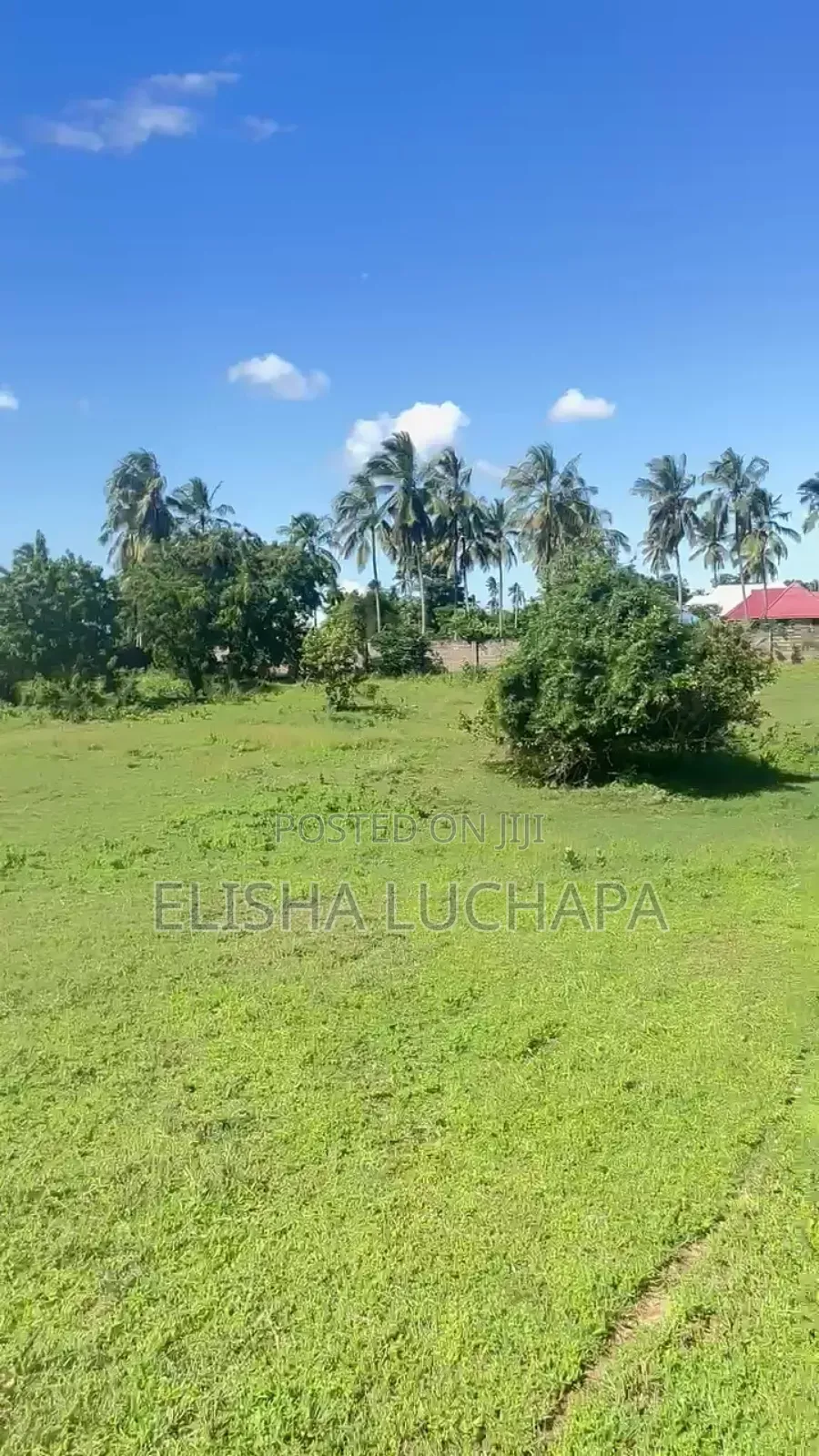 A Very Nice Plot for Sale at Gezaulole