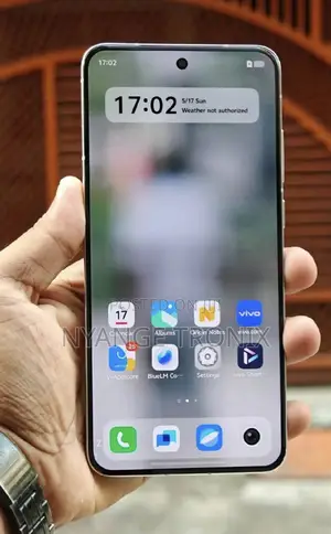 Vivo X200 256 GB Gray