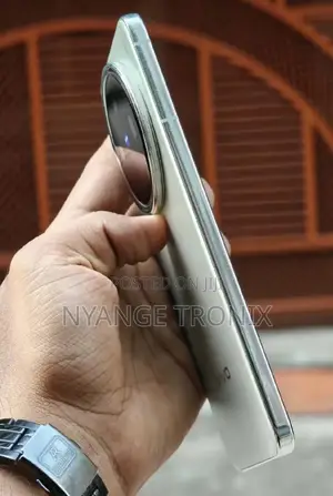 Vivo X200 256 GB Gray