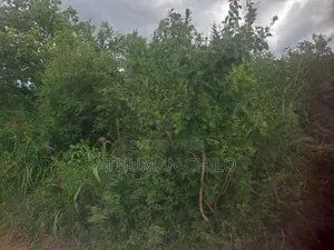 Shamba Linauzwa Lipo Kiwangwa Bagamoyo