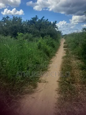 Shamba Linauzwa Lipo Kiwangwa Bagamoyo