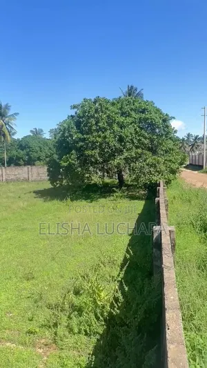 A Very Nice Plot for Sale at Gezaulole