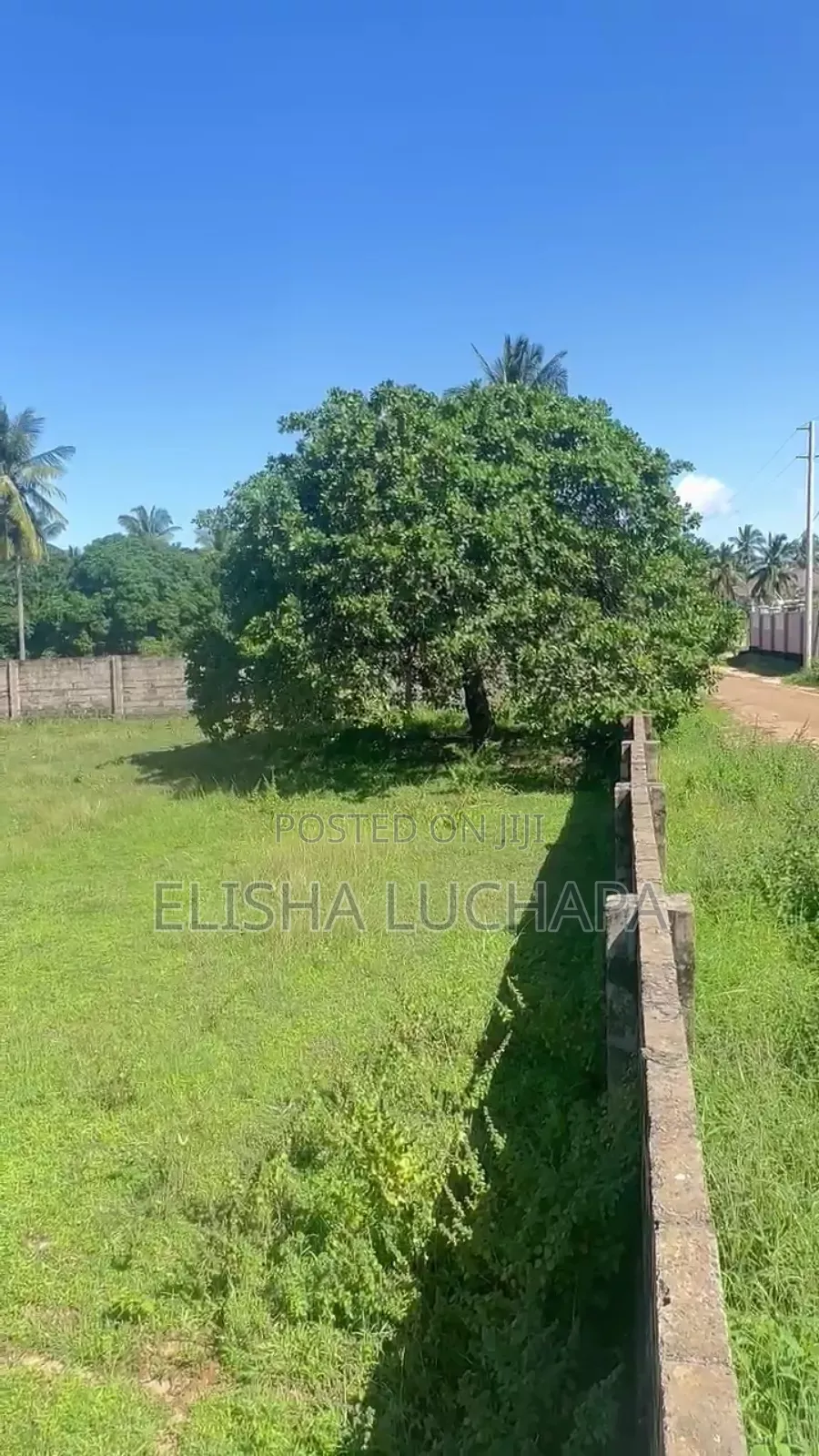 A Very Nice Plot for Sale at Gezaulole
