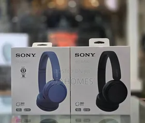 Sony Wh-Ch520