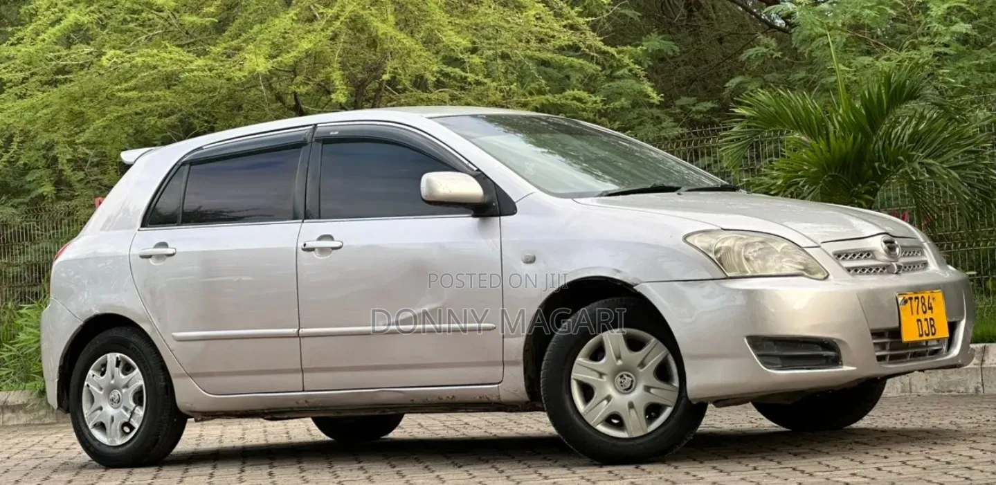 Toyota Corolla RunX 2005 Silver
