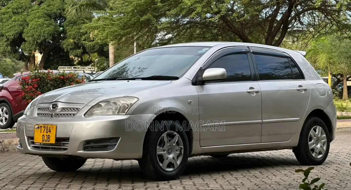 Toyota Corolla RunX 2005 Silver