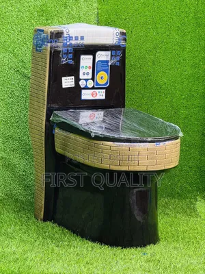 Sitting Toilet Tvby