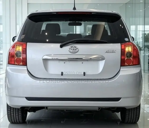 Toyota Allex 2005 Silver