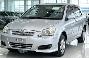 Toyota Allex 2005 Silver