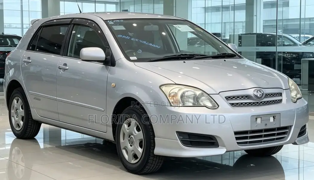 Toyota Allex 2005 Silver