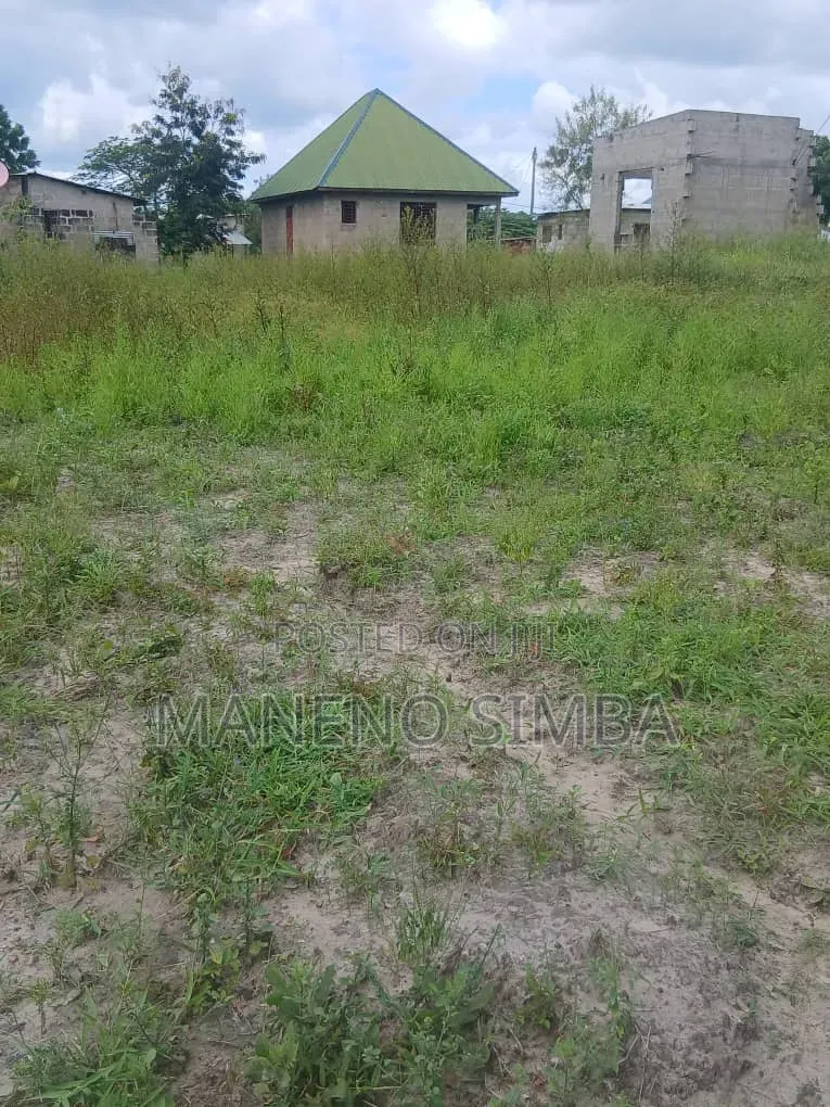 Nauza Kiwanja