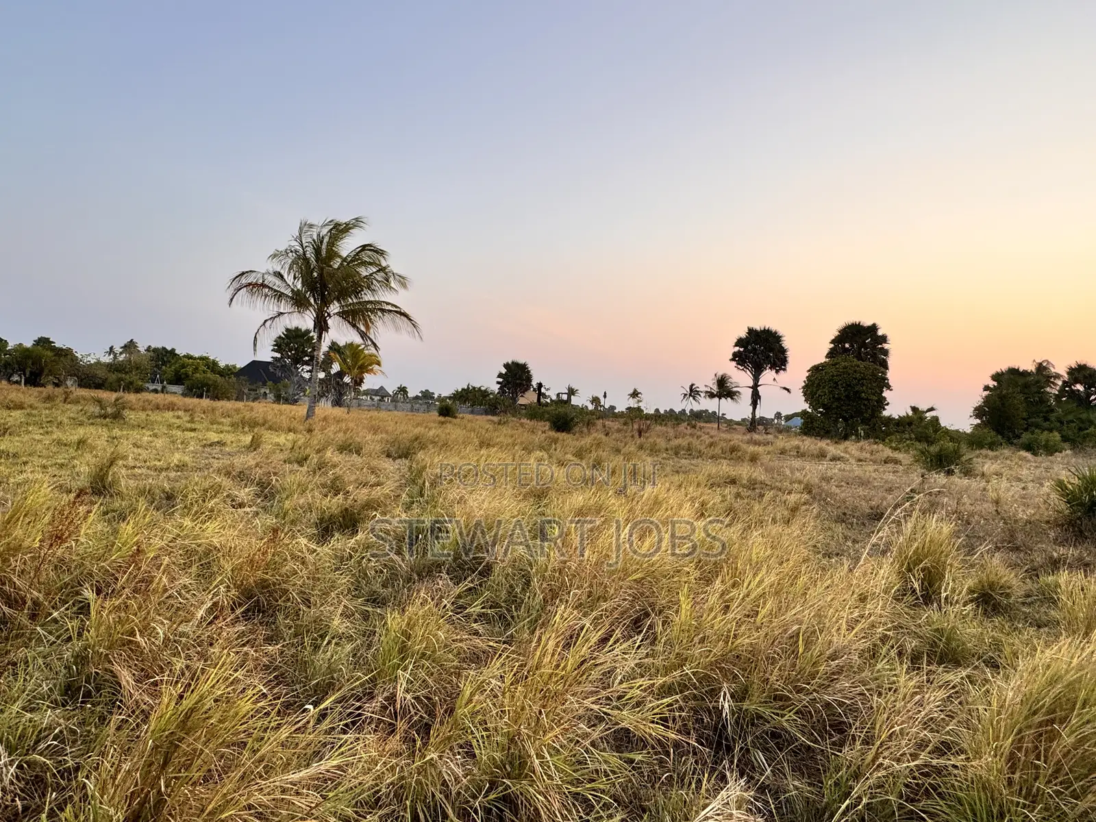 Beach Plot for Sale - Kimbiji